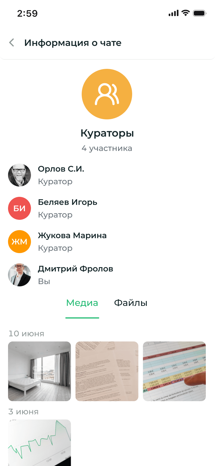 Мобильная информация о чате «Кураторы»: четыре участника, их роли и галерея медиа с группировкой по датам.